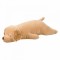 Golden Retriever Sora 53 cm