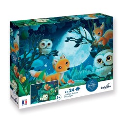 Puzzle 'La lumina lunii' 2x24 pcs