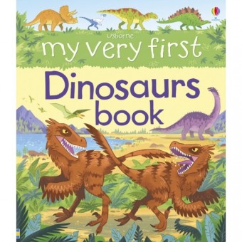 My Very First Dinosaurs Book